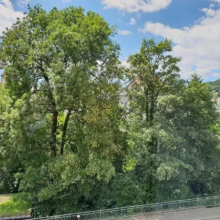 Waldshut-zentrum Daire