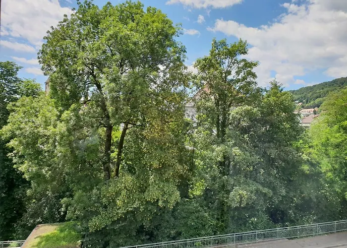 Waldshut-zentrum Apartamento